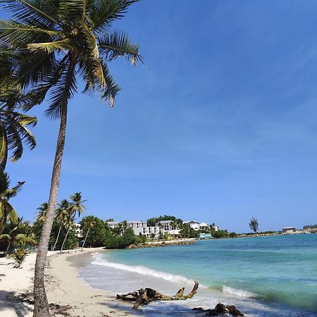 Studio West-Indies Residence Savane Et Archipel Le Gosier  Exterior photo