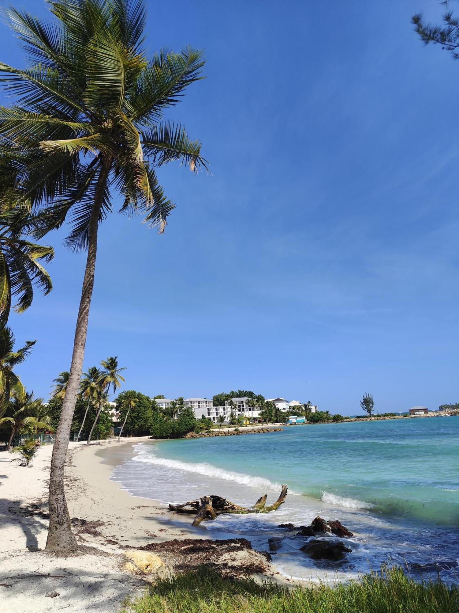 Studio West-Indies Residence Savane Et Archipel Le Gosier  Exterior photo